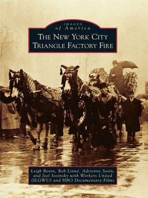cover image of The New York City Triangle Factory Fire